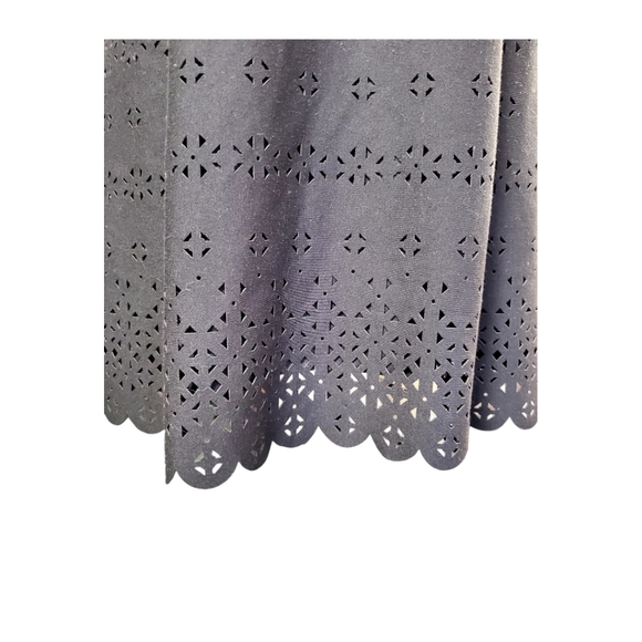 NWOT - Banana Republic Laser Cut Fit & Flare Dress - Picture 5 of 6